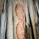 Illustration for article titled Neanderthals were apparently painting DNA 43,000 years ago